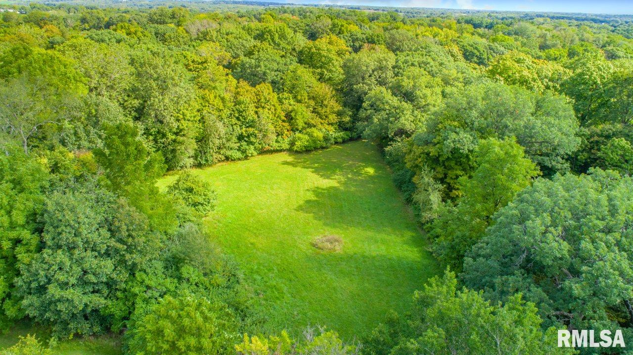 342 Grimm Road Congerville, IL 61729 - Photo 44 of 49