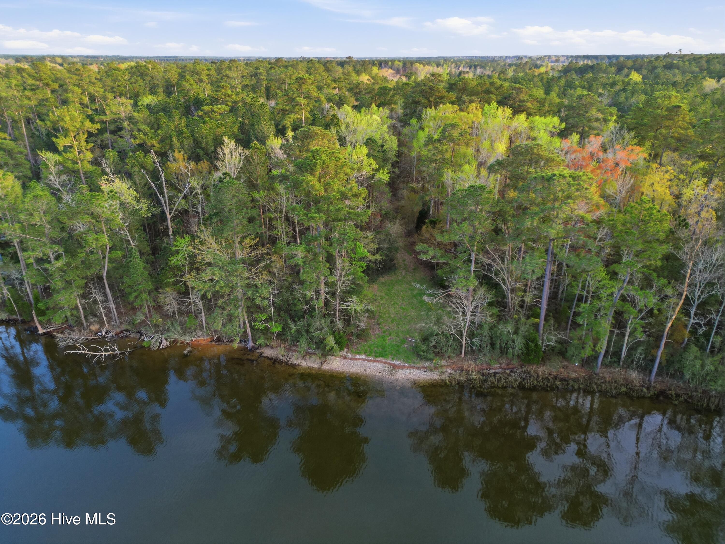 0 Florence Road Merritt, NC 28556 - Photo 18 of 31 19_dji_0040