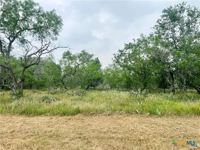 $274,999 | Lot 14 East Wisteria Lane, Smiley, TX 78159