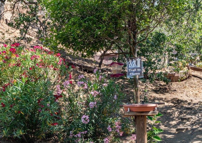 44115 Dinely Drive Three Rivers, CA 93271 - Photo 24 of 33 Additional Photo
