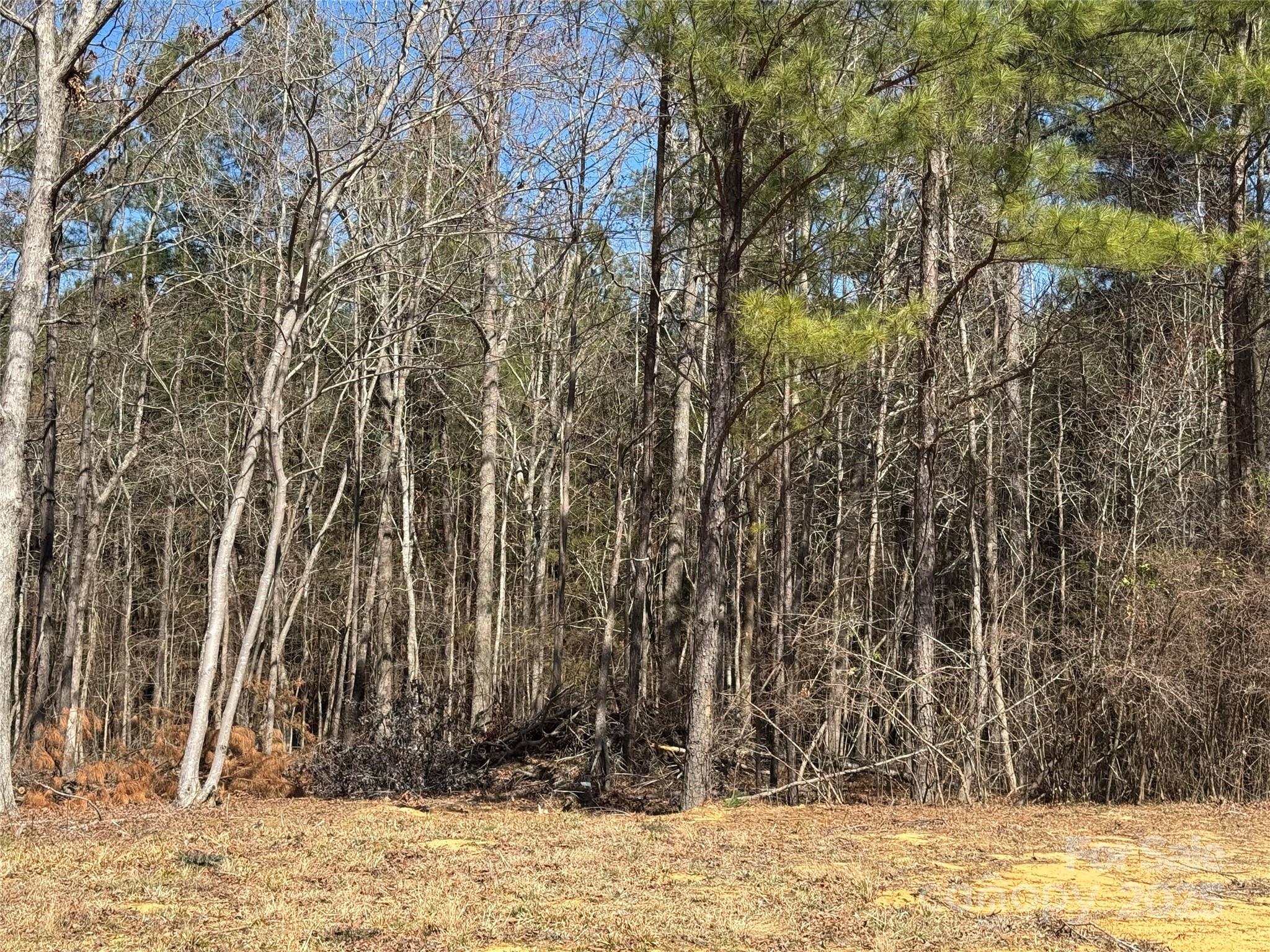 898 Mountain Lakes Road Chester, SC 29706 - Photo 6 of 8 a view of a backyard