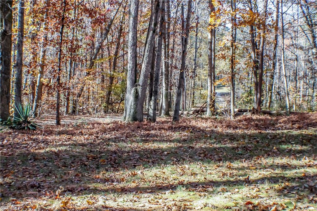 5081 Dippen Road Walkertown, NC 27051 - Photo 13 of 13 Gallery Image 13