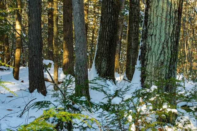 $875,000 | 0 Bog Brook Road, Goffstown, NH 03045