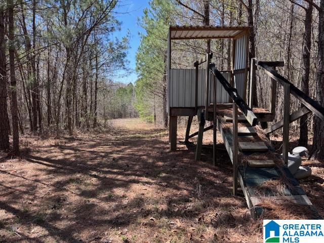 684 County Road, Unit 63 Roanoke, AL 36274 - Photo 5 of 11 Gallery Image 5