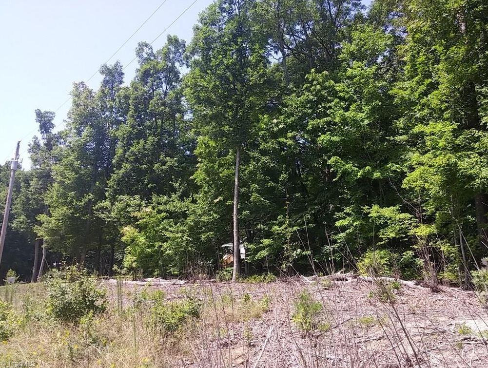 4723 Sylvan Oaks Road Climax, NC 27233 - Photo 2 of 6 Gallery Image 2