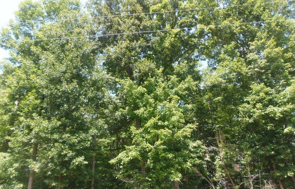 4723 Sylvan Oaks Road Climax, NC 27233 - Photo 4 of 6 Gallery Image 4