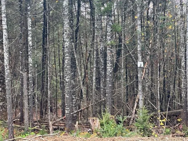 $62,500 | Lot ''n'' South Lot ''n'' S Whitetail Way, Greenville, ME 04441