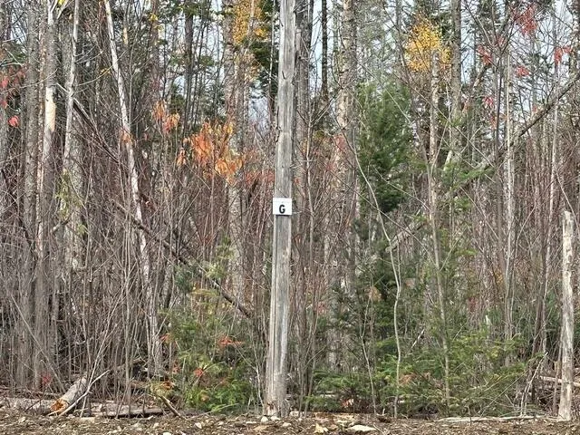 $62,500 | Lot ''n'' South Lot ''n'' S Whitetail Way, Greenville, ME 04441
