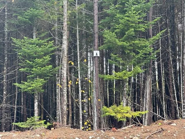 $62,500 | Lot ''n'' South Lot ''n'' S Whitetail Way, Greenville, ME 04441