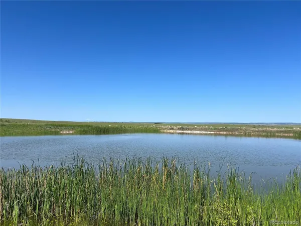 a view of an ocean beach