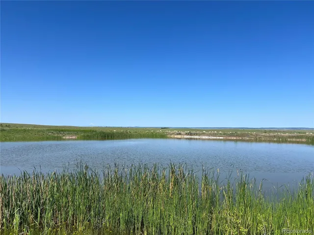 a view of an ocean beach