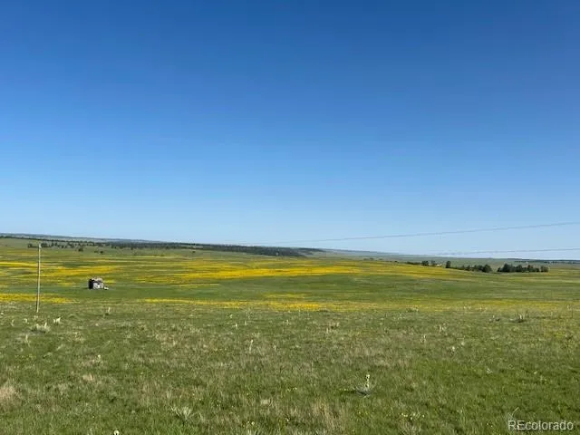 a view of an ocean and beach