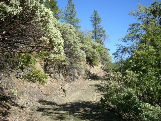 122 Acres Off Usfs Road Happy Camp, CA 96039 - Photo 17 of 25 Gallery Image 17