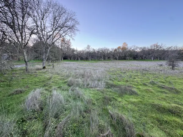 a view of outdoor space with green field and trees