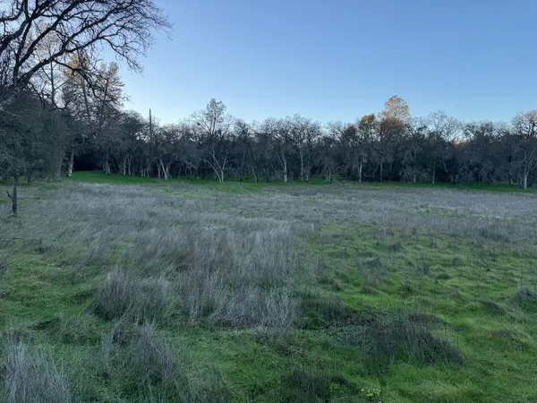 a view of a field with trees in the background