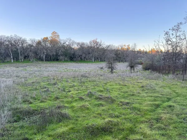 a view of outdoor space with trees all around