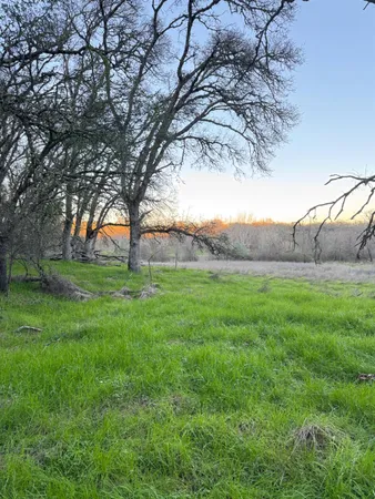 a view of green field with trees
