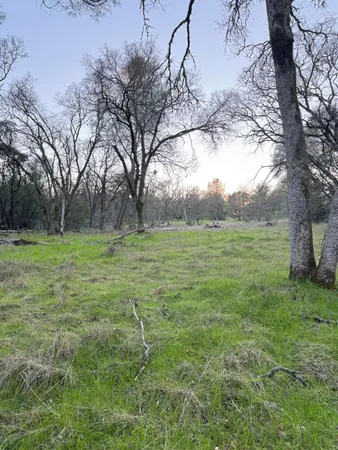 a view of a green field