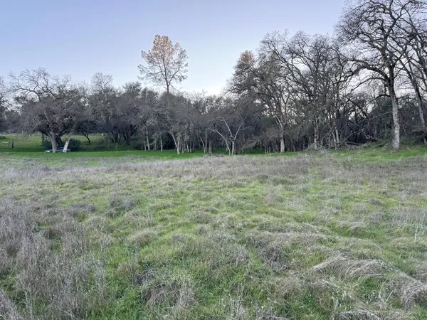 a view of field with trees in background