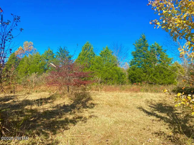 a view of a yard with an ocean