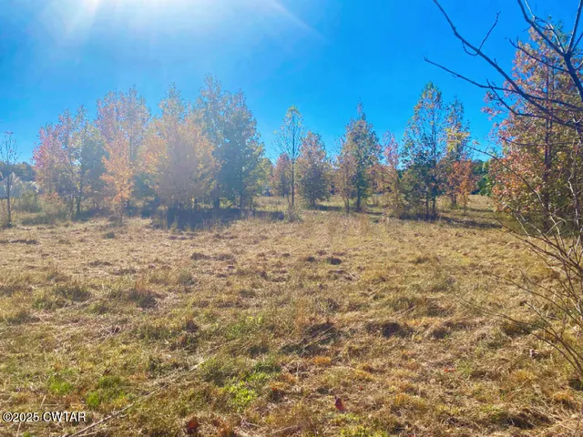 a view of a yard with a tree