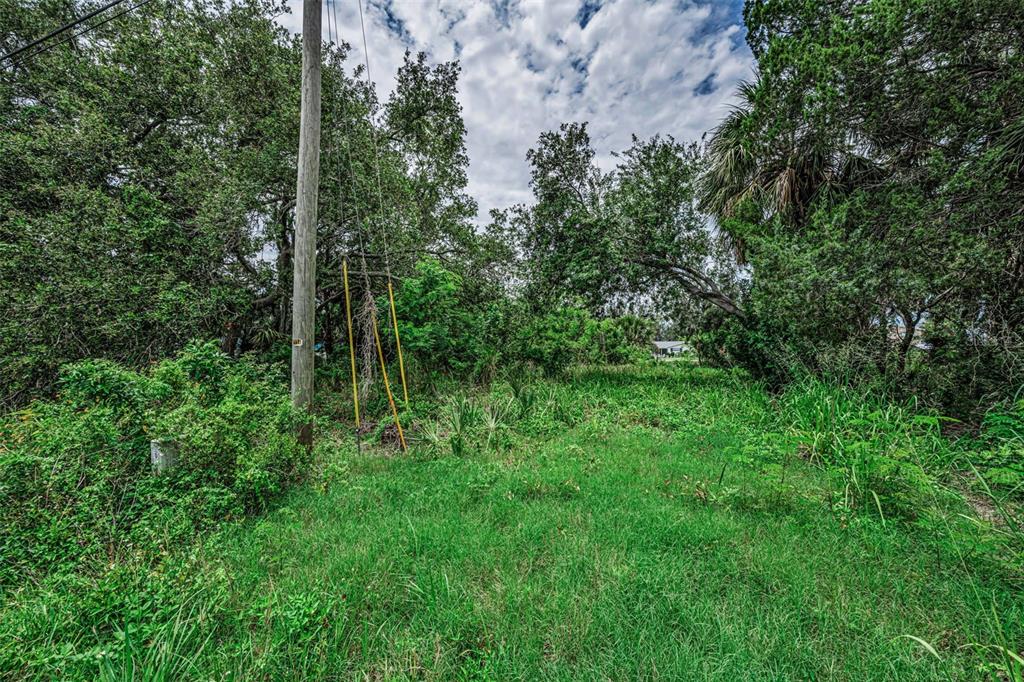 15 Rice Road Hudson, FL 34667 - Photo 2 of 20