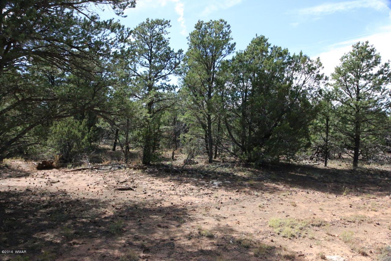 3187 Trailblazer Drive Overgaard, AZ 85933 - Photo 1 of 21