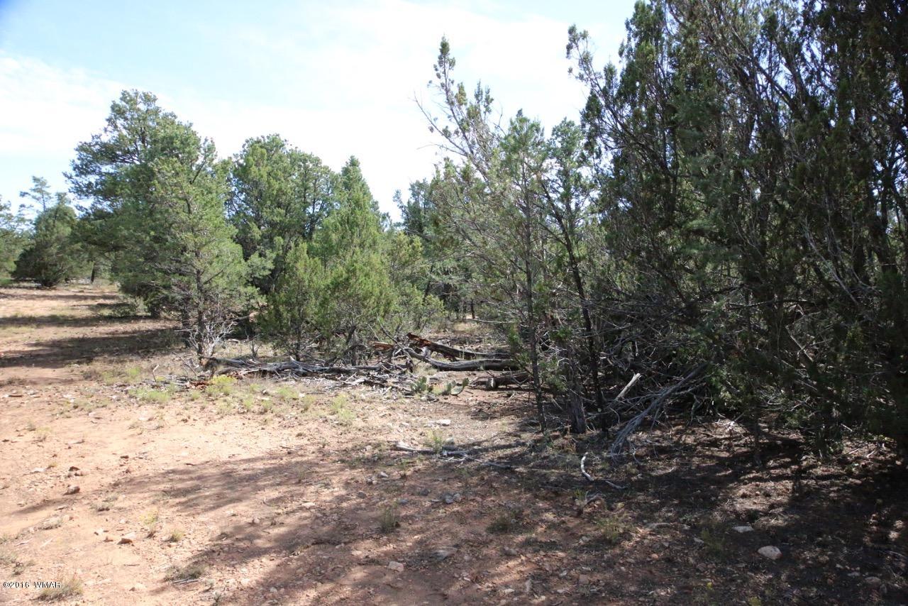 3187 Trailblazer Drive Overgaard, AZ 85933 - Photo 11 of 21