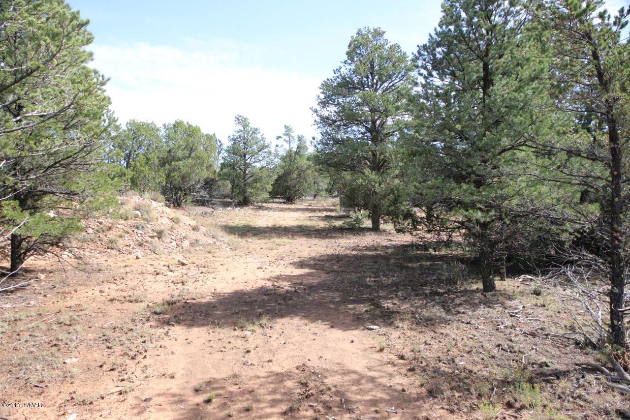 3187 Trailblazer Drive Overgaard, AZ 85933 - Photo 12 of 21