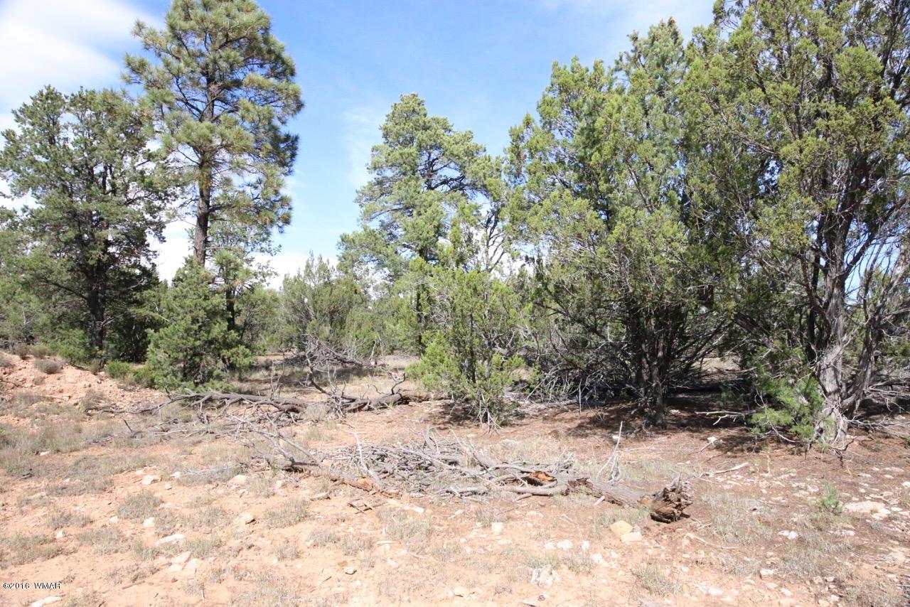 3187 Trailblazer Drive Overgaard, AZ 85933 - Photo 13 of 21