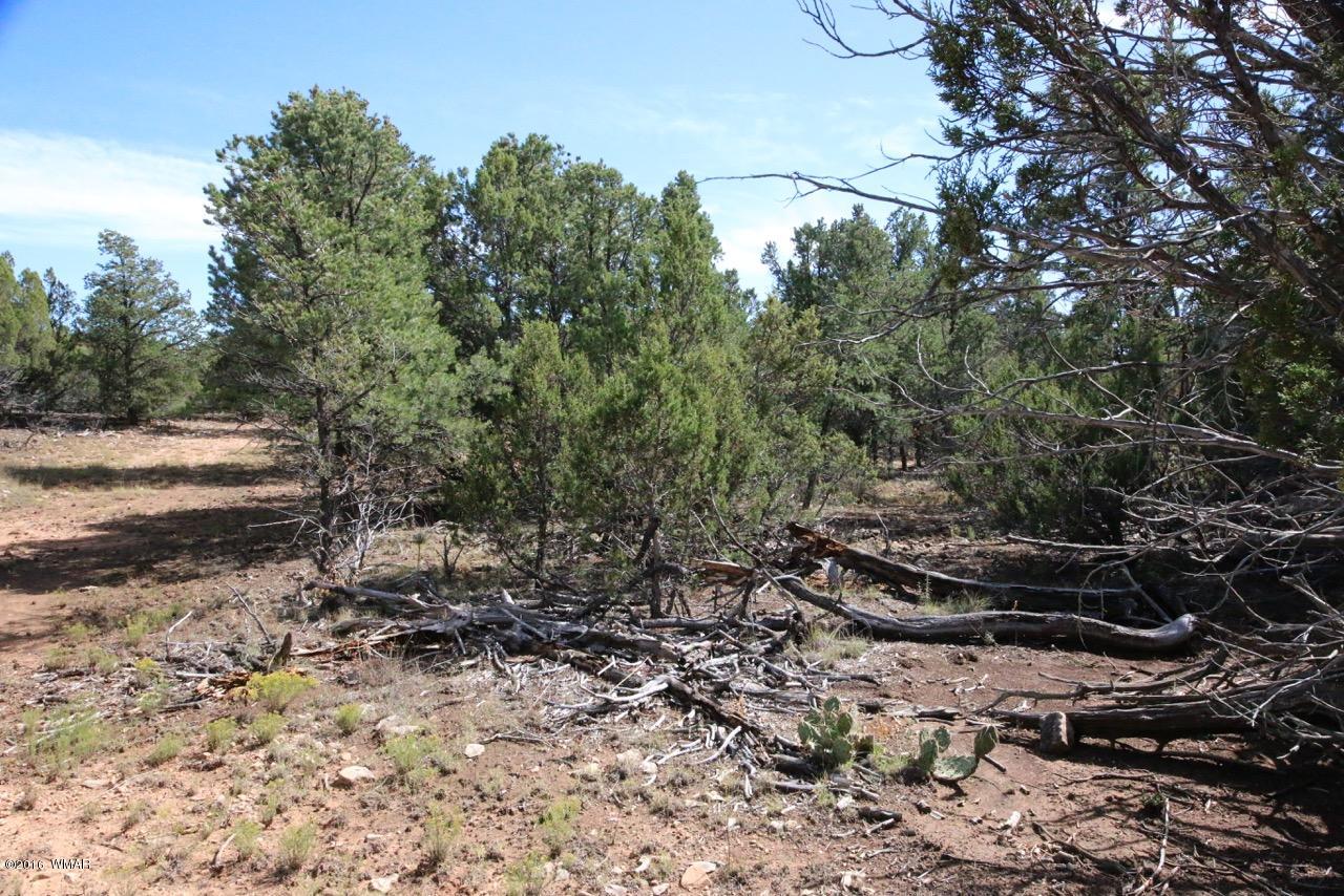3187 Trailblazer Drive Overgaard, AZ 85933 - Photo 14 of 21