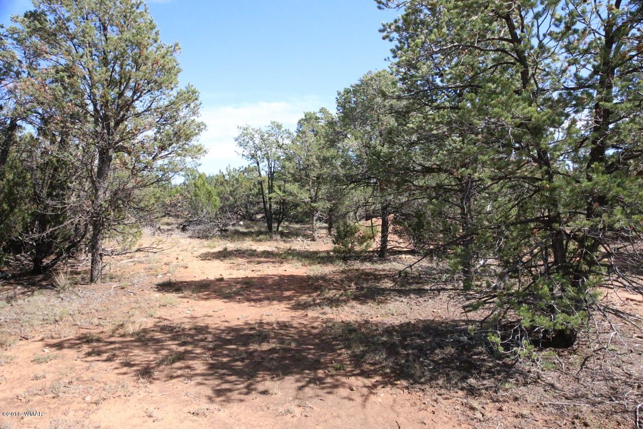 3187 Trailblazer Drive Overgaard, AZ 85933 - Photo 15 of 21