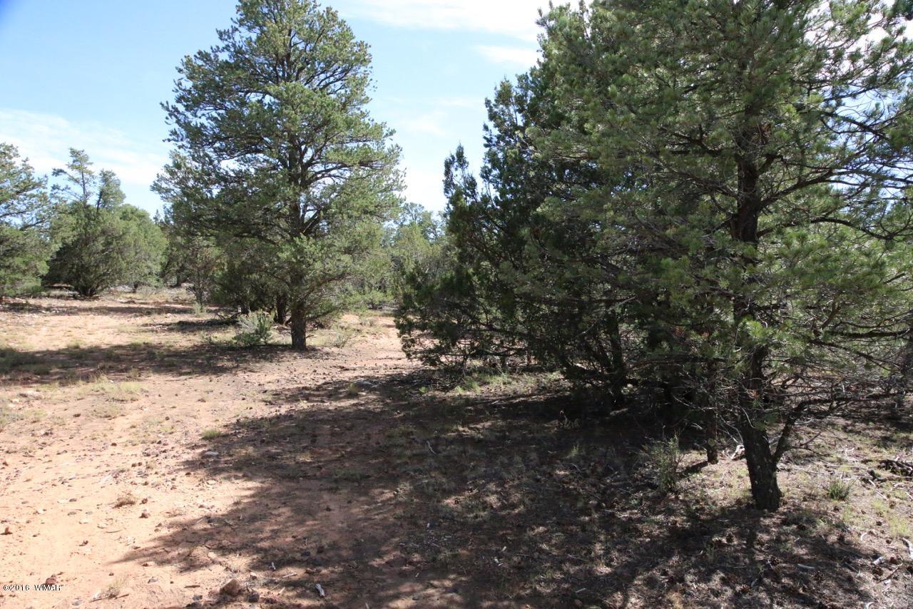 3187 Trailblazer Drive Overgaard, AZ 85933 - Photo 16 of 21