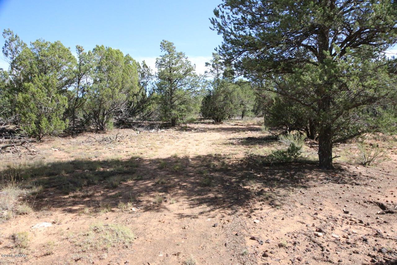 3187 Trailblazer Drive Overgaard, AZ 85933 - Photo 17 of 21
