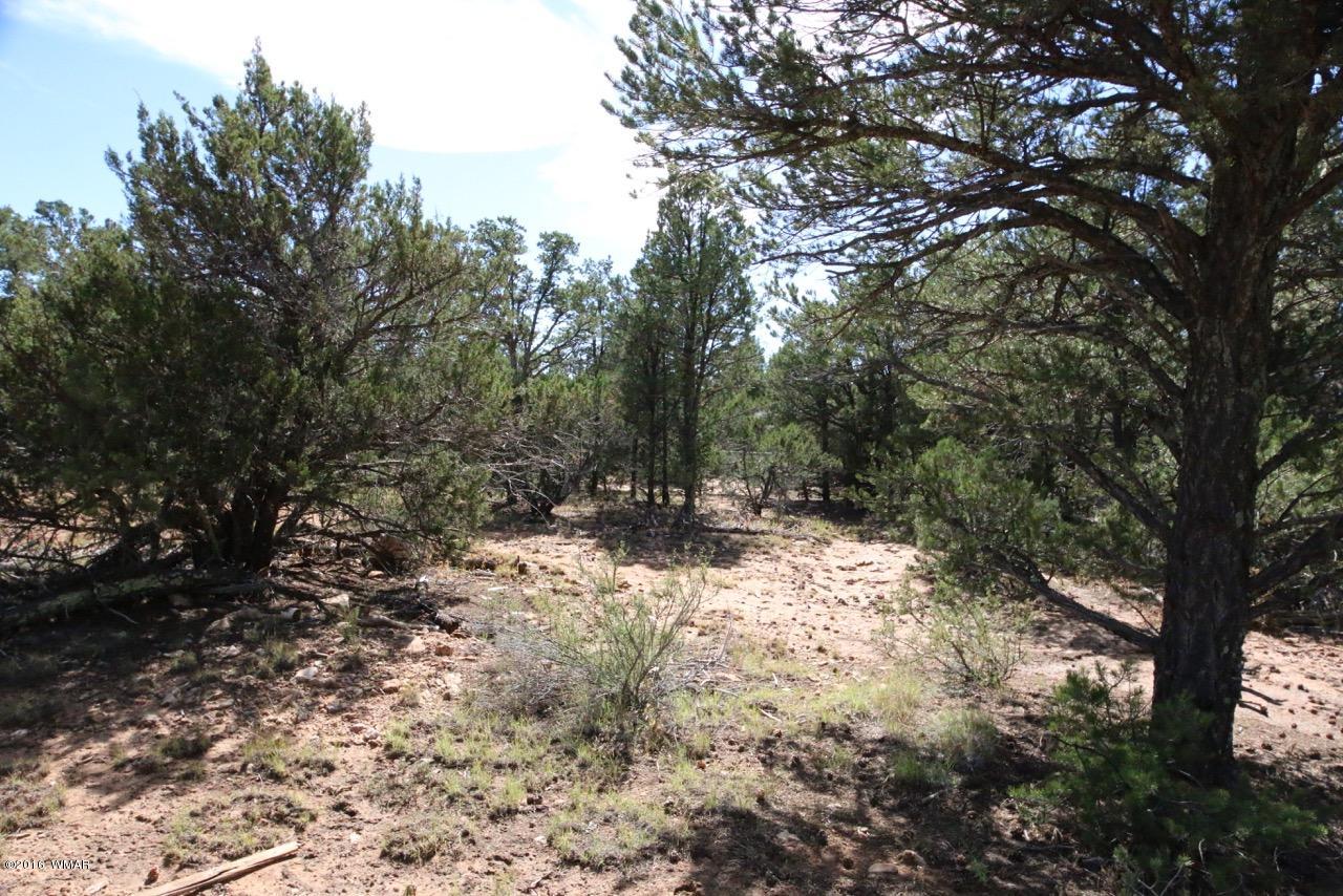 3187 Trailblazer Drive Overgaard, AZ 85933 - Photo 18 of 21