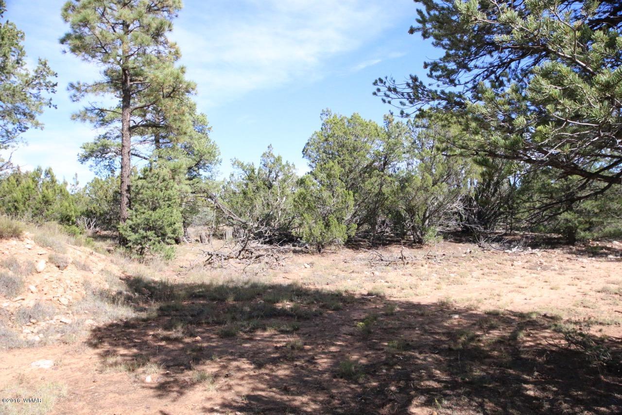 3187 Trailblazer Drive Overgaard, AZ 85933 - Photo 19 of 21