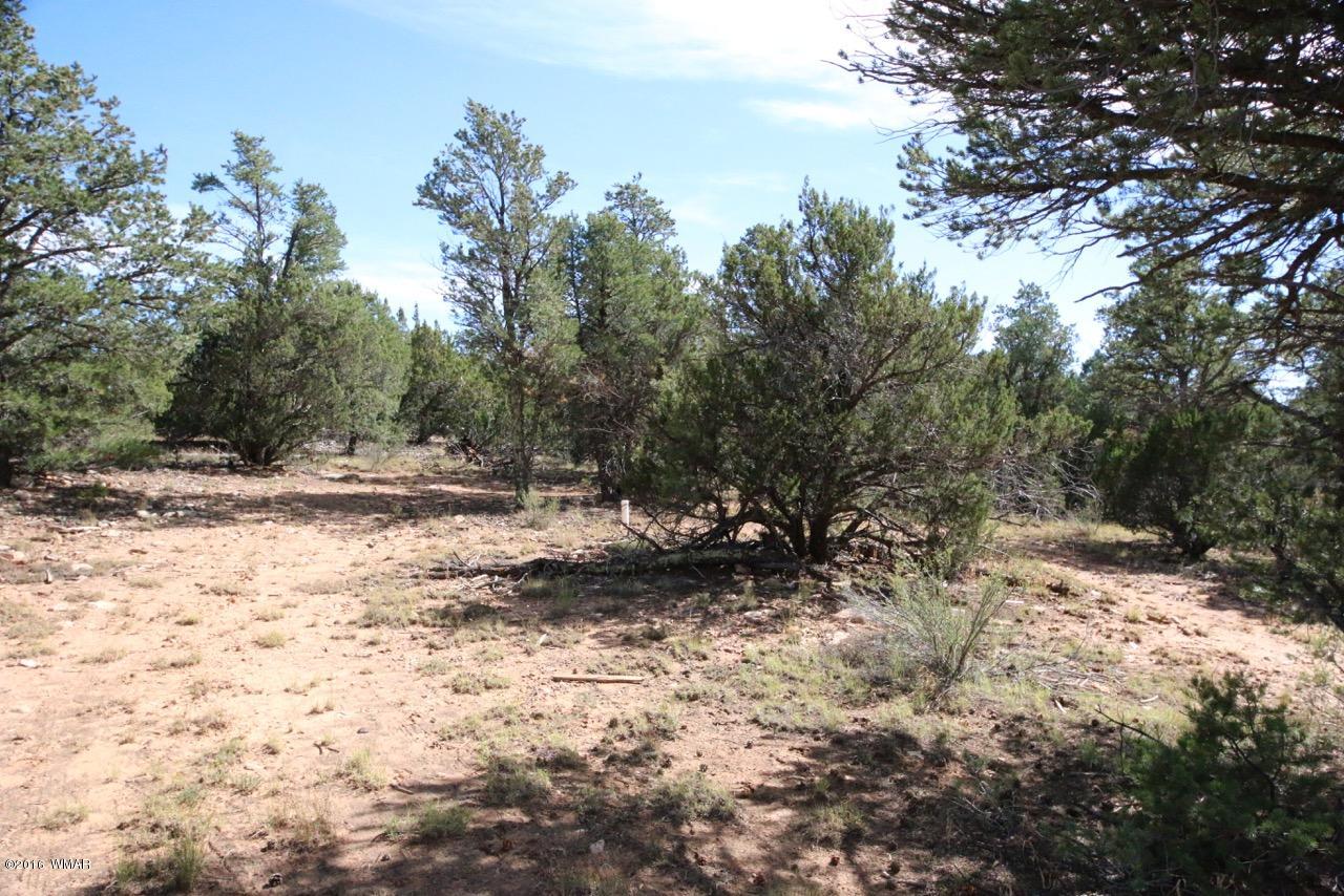 3187 Trailblazer Drive Overgaard, AZ 85933 - Photo 20 of 21