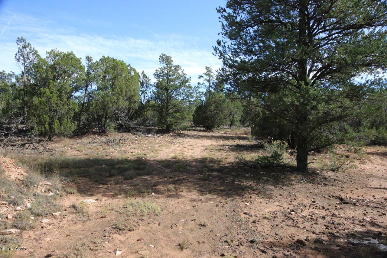 3187 Trailblazer Drive Overgaard, AZ 85933 - Photo 2 of 21