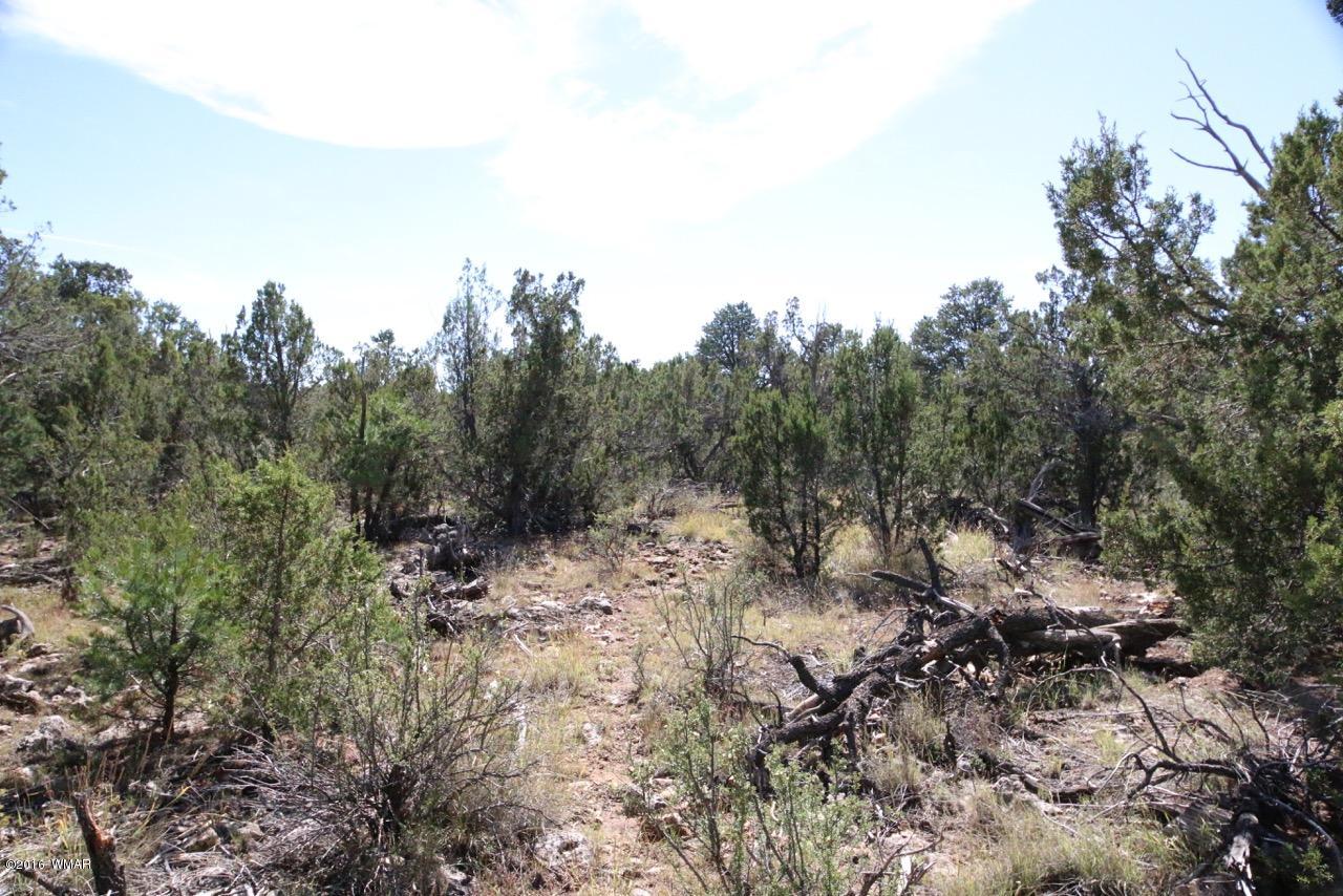 3187 Trailblazer Drive Overgaard, AZ 85933 - Photo 21 of 21