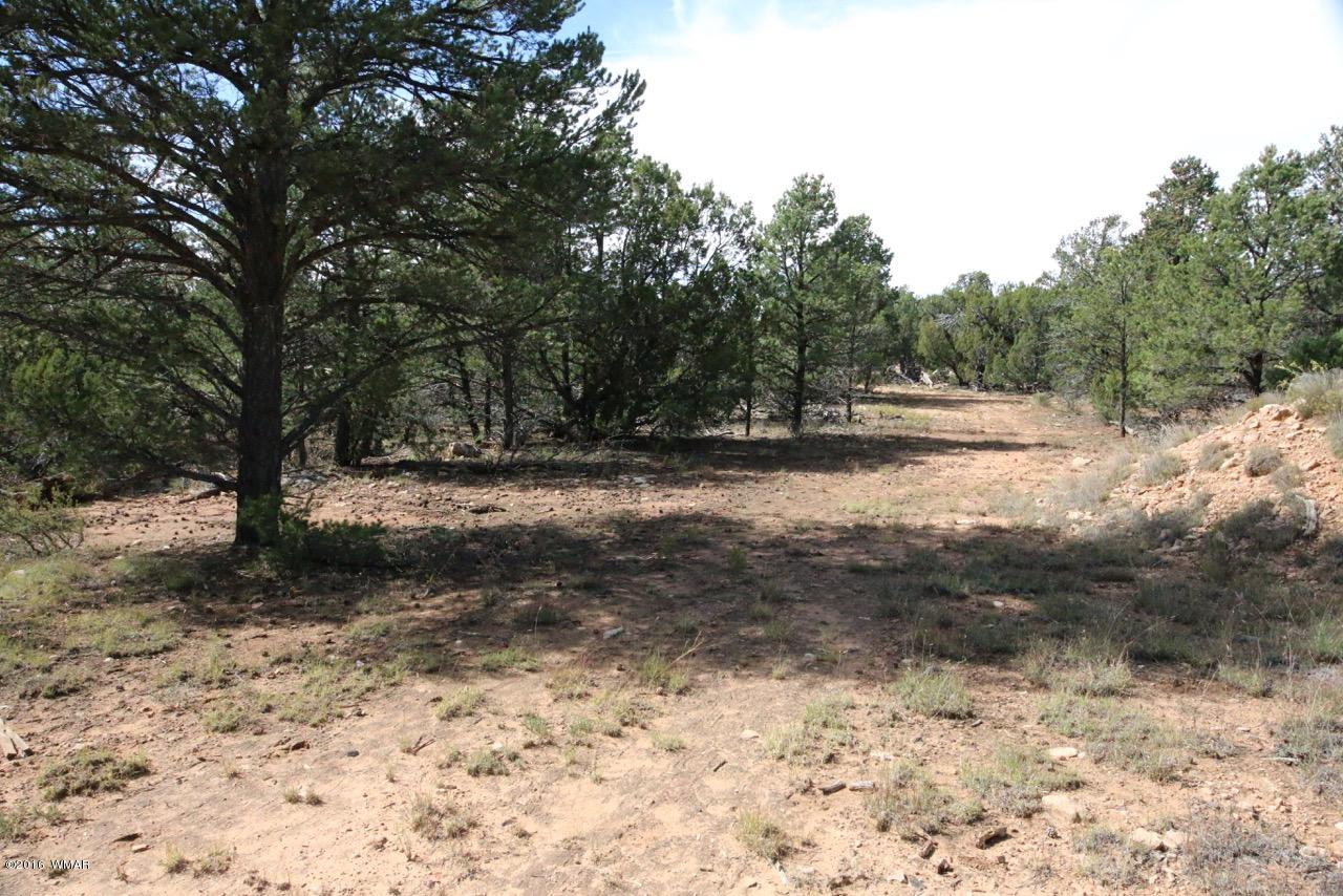 3187 Trailblazer Drive Overgaard, AZ 85933 - Photo 4 of 21