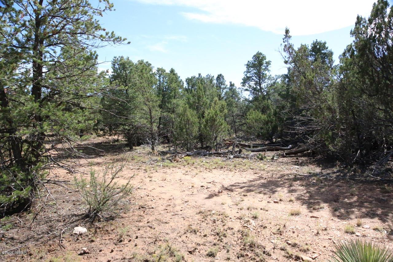 3187 Trailblazer Drive Overgaard, AZ 85933 - Photo 5 of 21