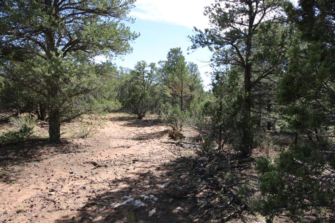 3187 Trailblazer Drive Overgaard, AZ 85933 - Photo 6 of 21