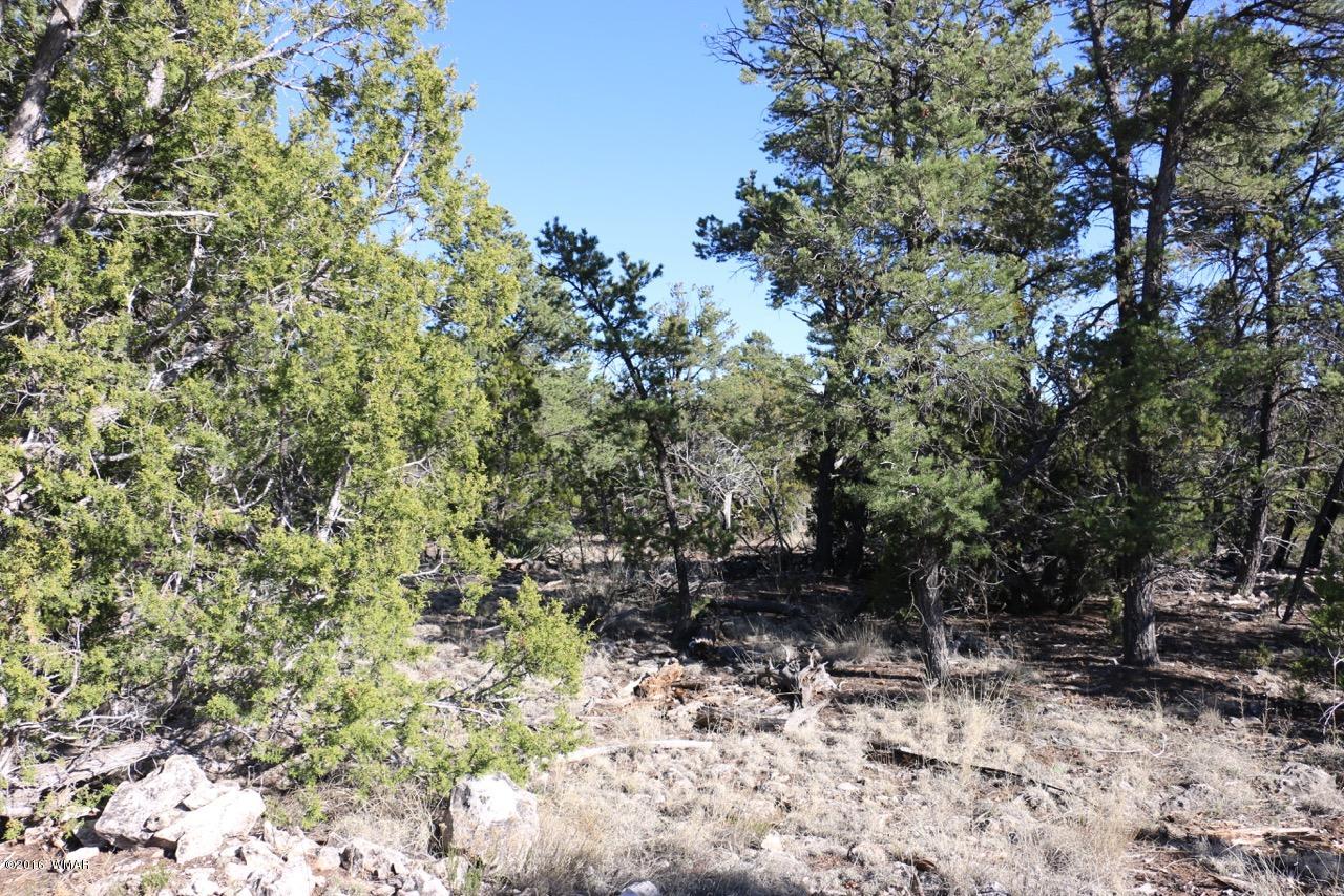 3187 Trailblazer Drive Overgaard, AZ 85933 - Photo 8 of 21