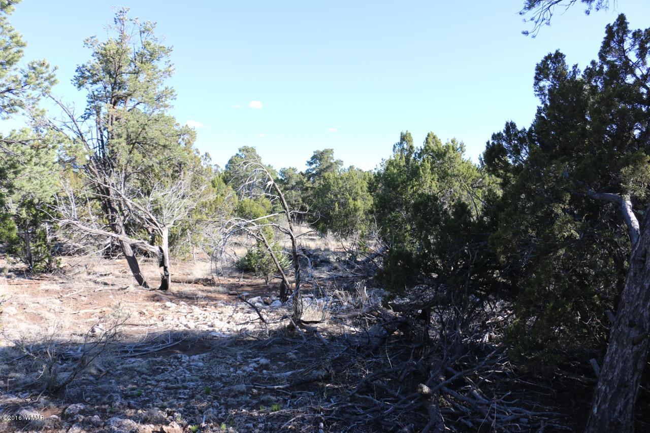 3187 Trailblazer Drive Overgaard, AZ 85933 - Photo 10 of 21