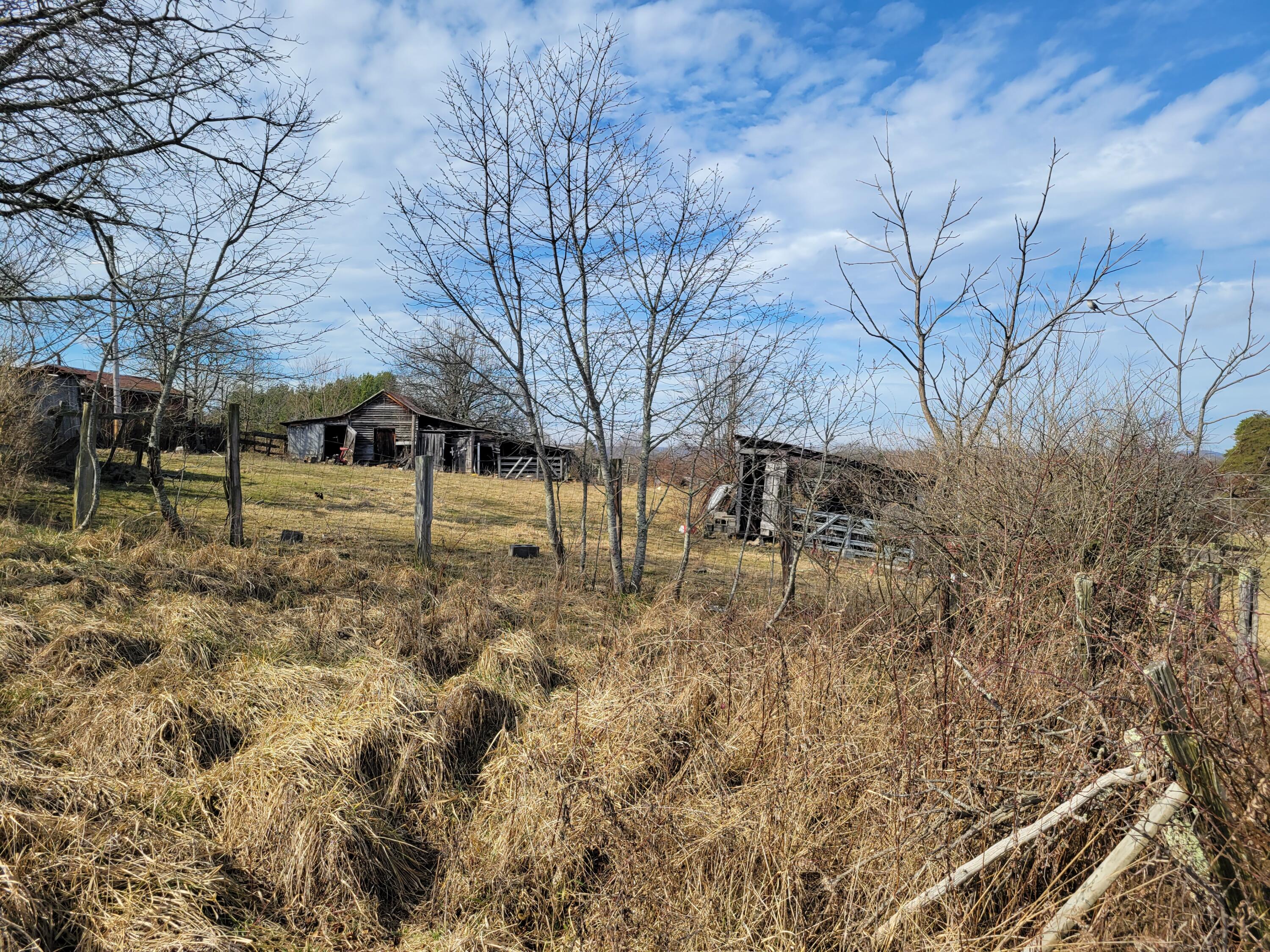 526 Crooked Run Road Peterstown, WV 24963 - Photo 3 of 7 Gallery Image 3
