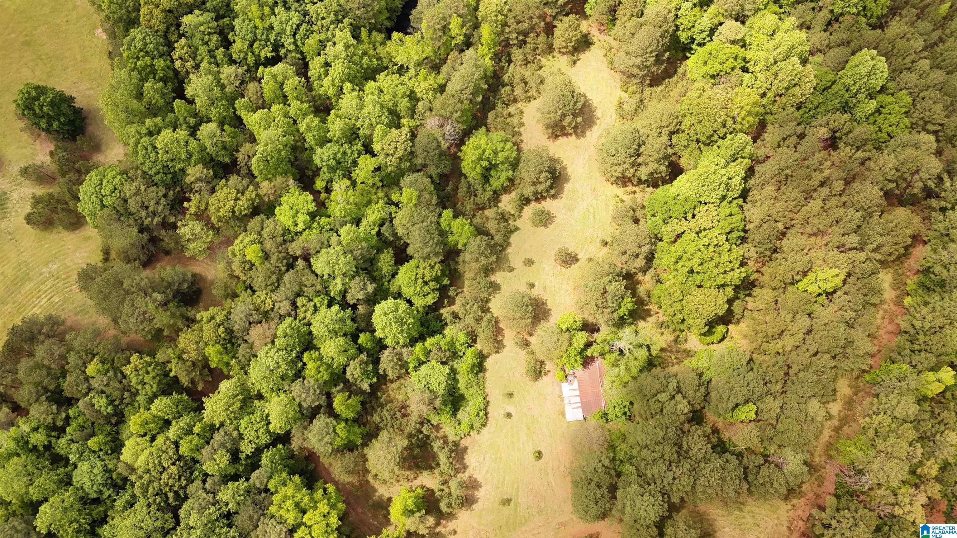 2488 Louina Road Roanoke, AL 36274 - Photo 92 of 97
