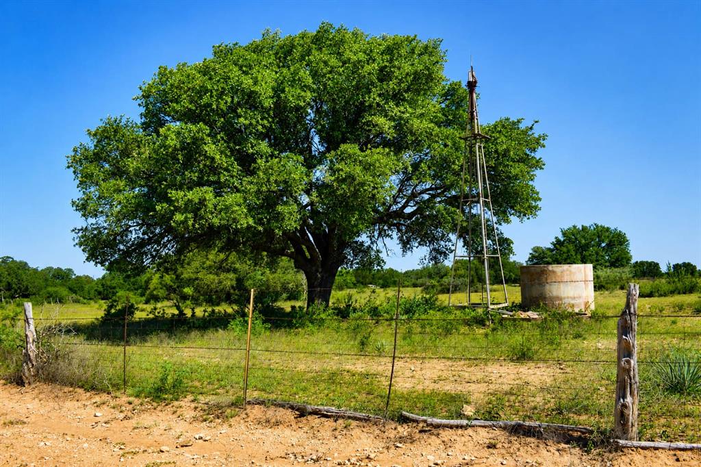 8228 Us Highway Rochelle, TX 76872 - Photo 5 of 36 a view of a garden with a fountain