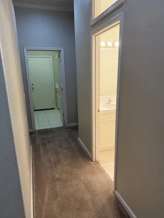 a bathroom with a shower and a toilet