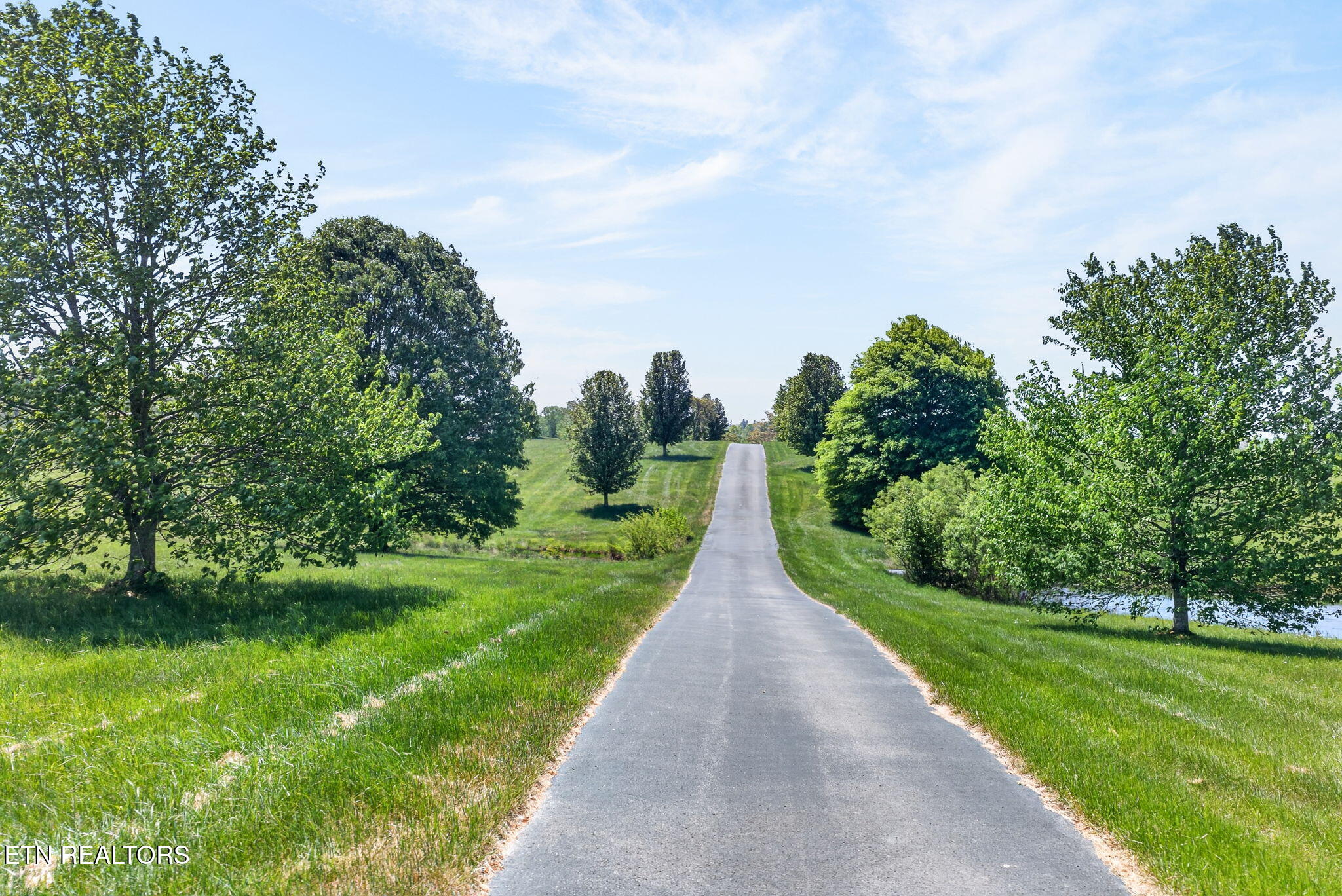 135 Austin Lane Deer Lodge, TN 37726 - Photo 42 of 60 Driveway