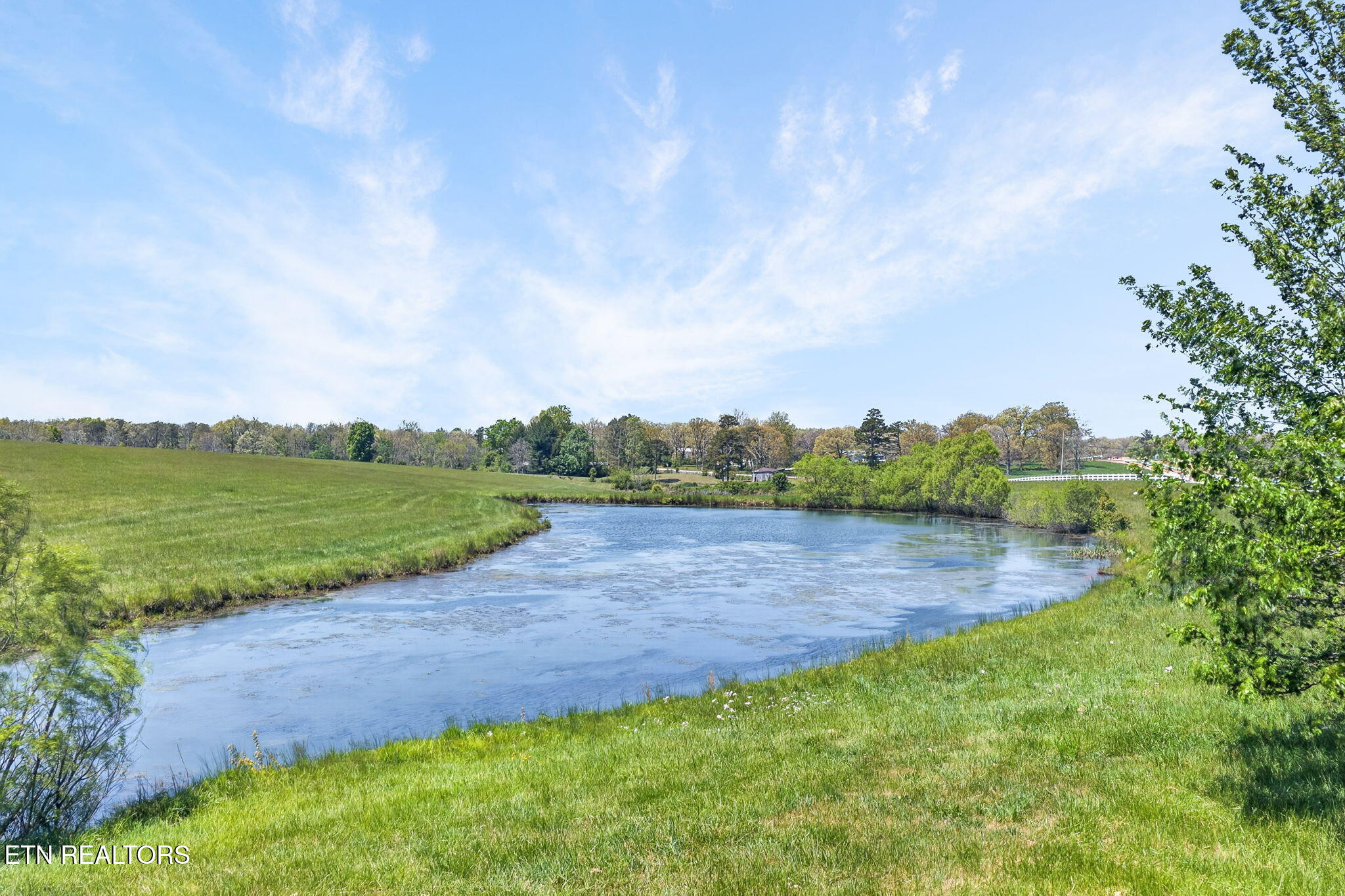 135 Austin Lane Deer Lodge, TN 37726 - Photo 43 of 60 Pond